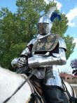 Stainless steel jousting armour